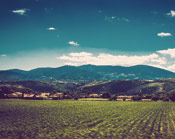 在线客服咨询的手机版ddos攻击器